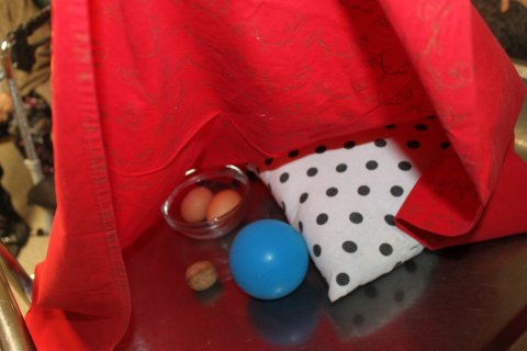 Smyslové vnímání