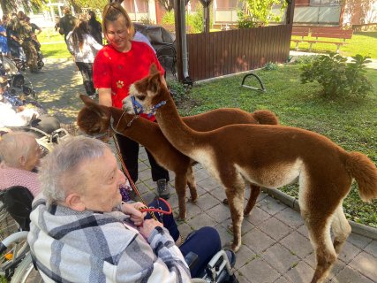 Zahrada domova ožila zvířaty