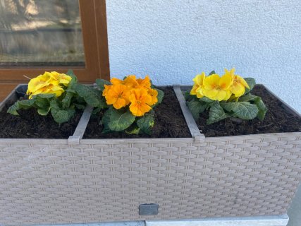 Jarní úklid zahrady