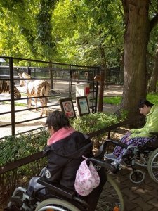 Výlet do ZOO Hodonín