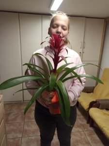 Floria Kroměříž darovala květiny pro chráněná bydlení