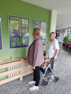Fotografie 11