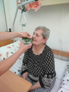 Fotografie 1