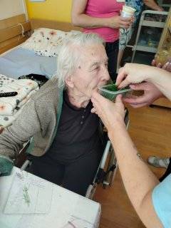 Fotografie 6