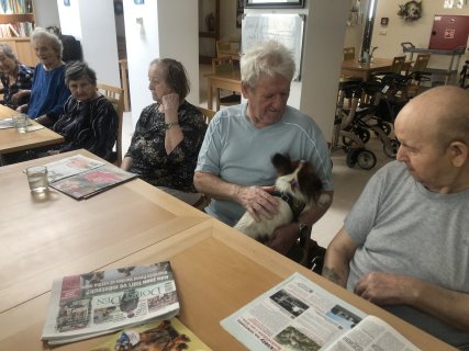 Fotografie 17